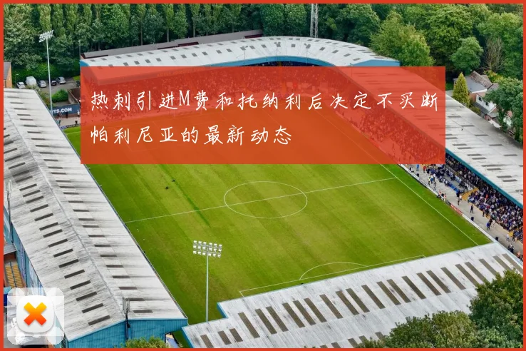 热刺引进M费和托纳利后决定不买断帕利尼亚的最新动态